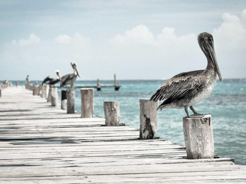 Endocrinología Rosario